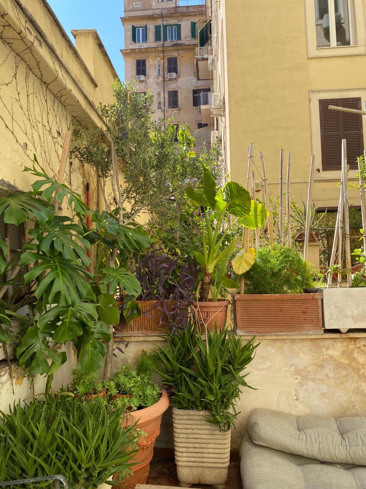 Il Plancton Hotel Rome Buitenkant foto
